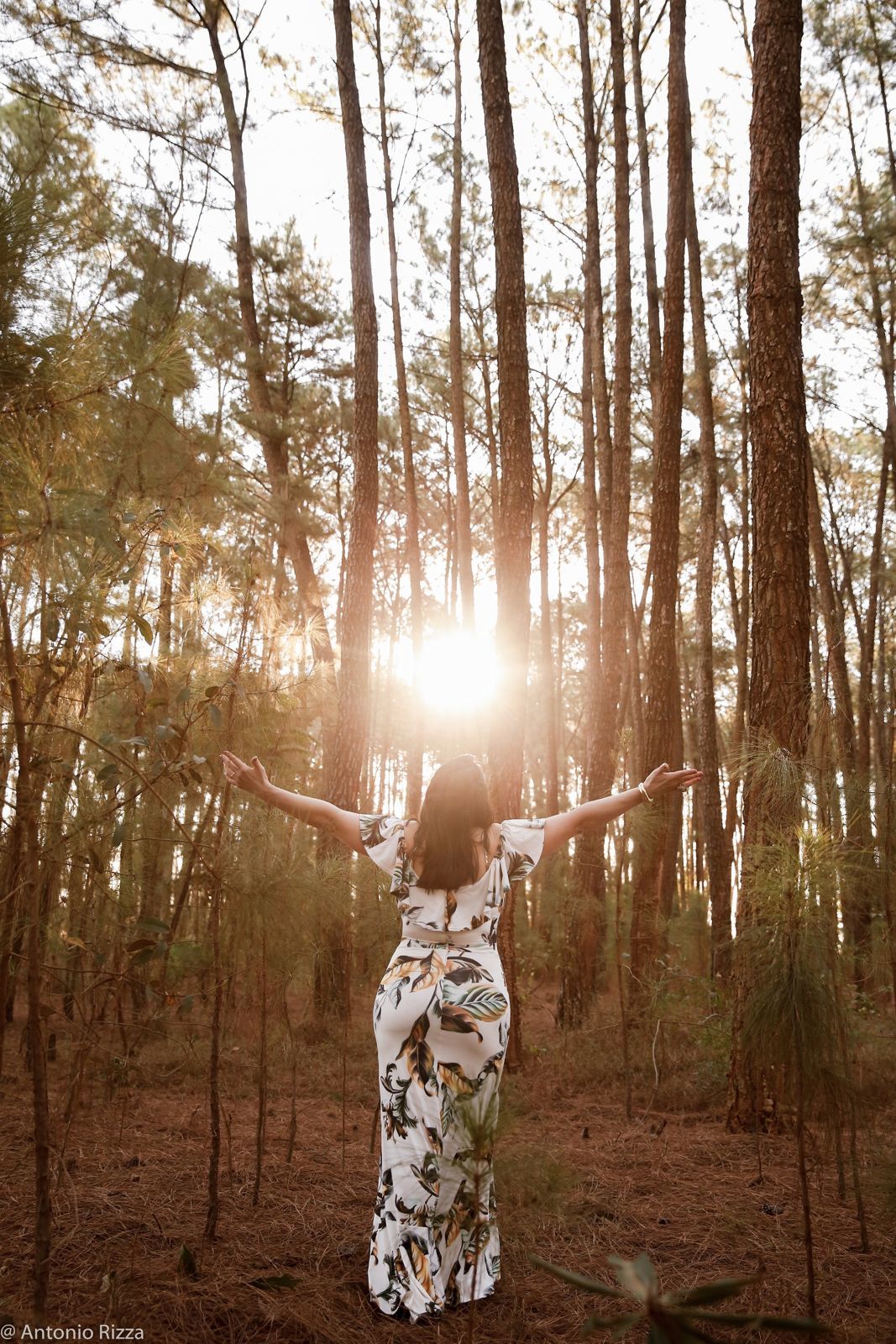 Foto Denise - Imagem 87