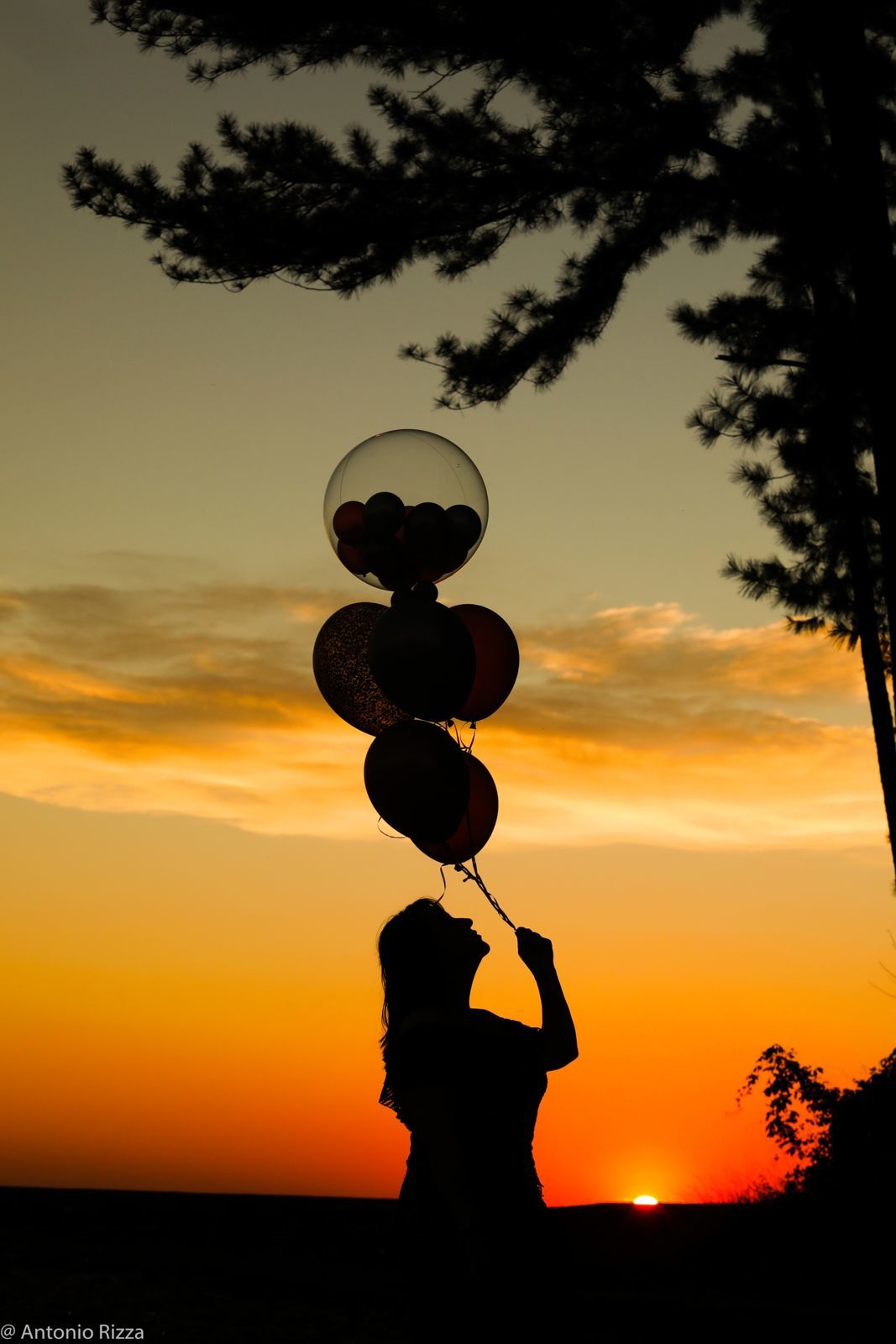 Foto Denise - Imagem 79