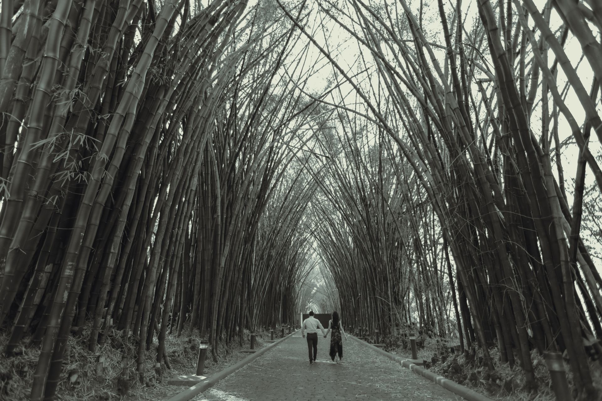 Foto Pre Wedding em Araxá - Tamine e Ricardo - Imagem 43