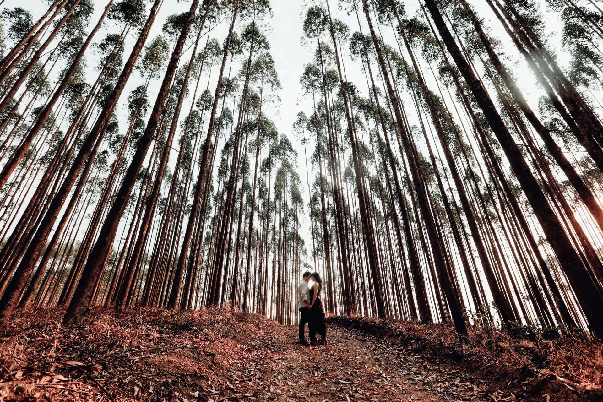 Foto Pre Wedding em Araxá - Tamine e Ricardo - Imagem 89