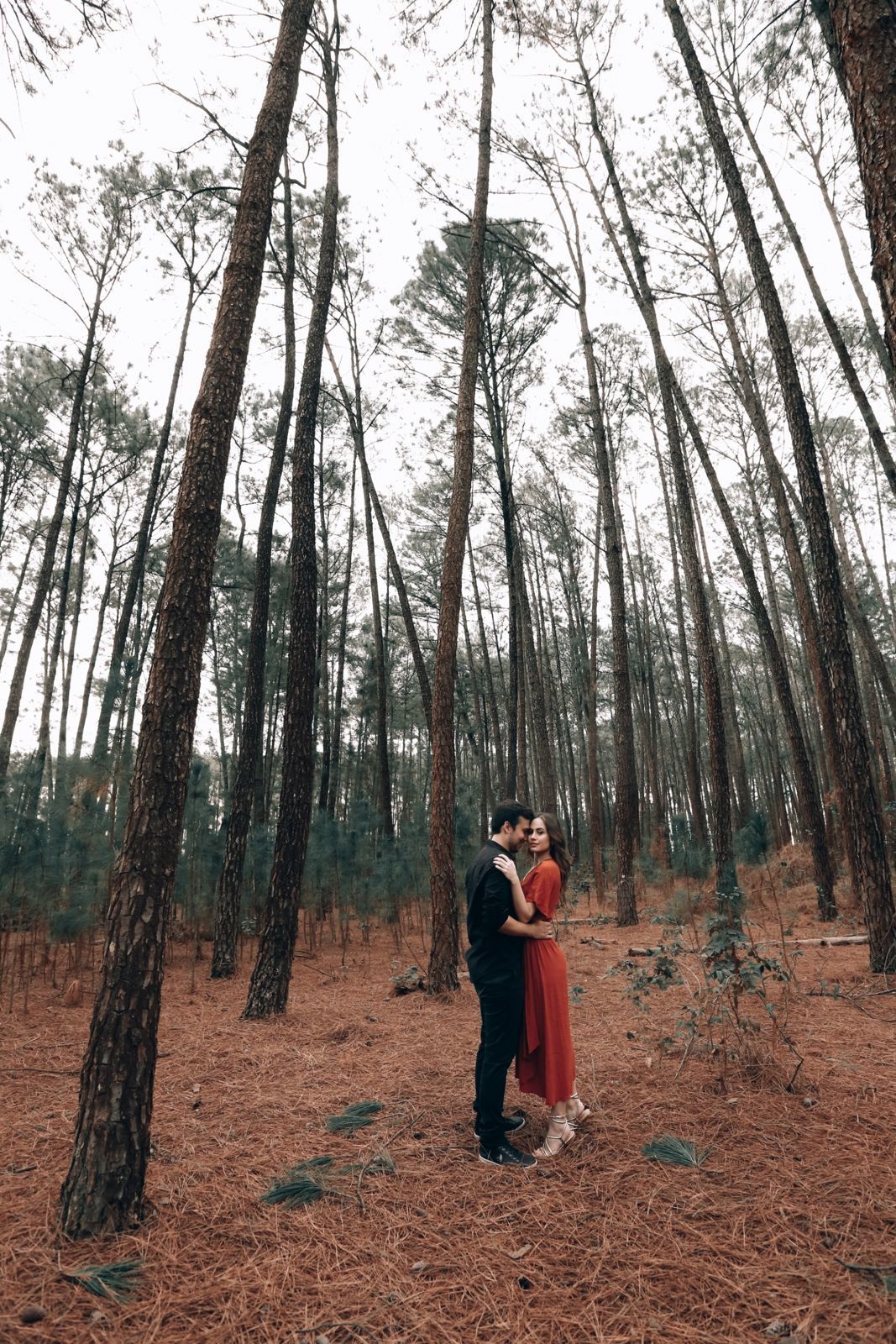 Foto Pre Wedding - Mariana e Renato - Imagem 51