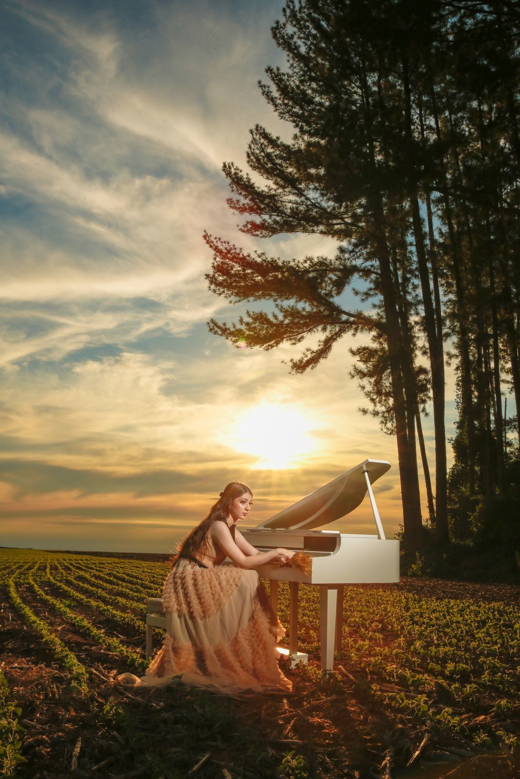 Foto Ensaio de 15 anos Luana - Imagem 6
