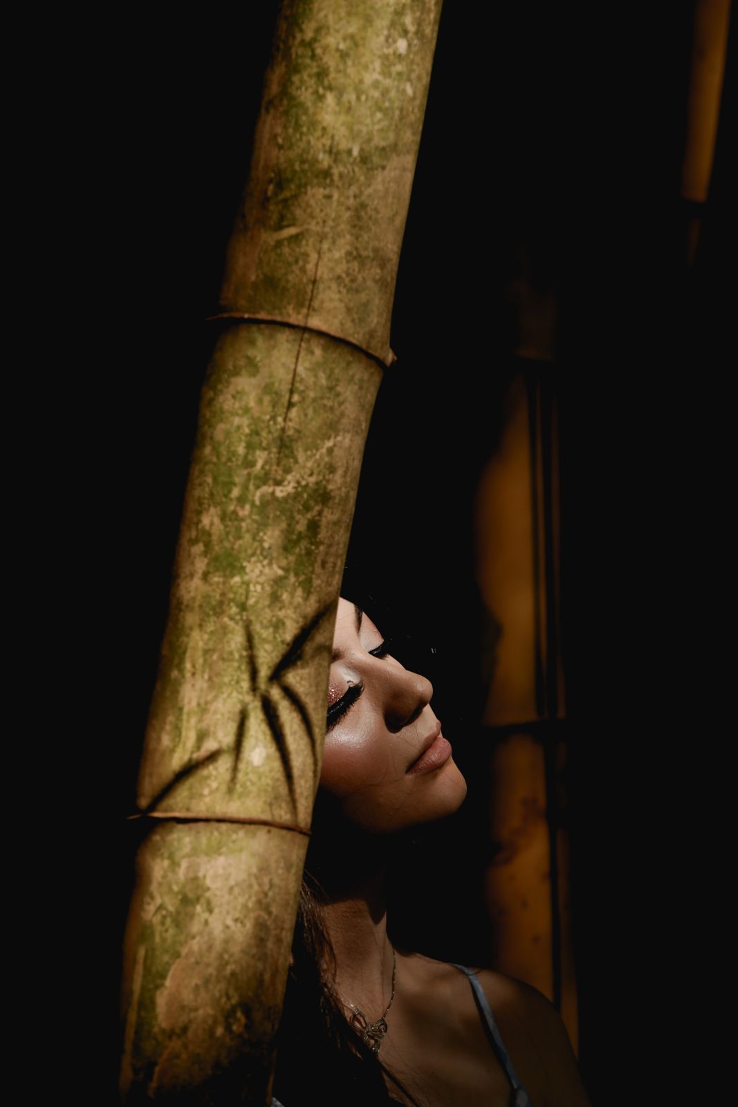 Foto Ensaio de 15 anos Luana - Imagem 42