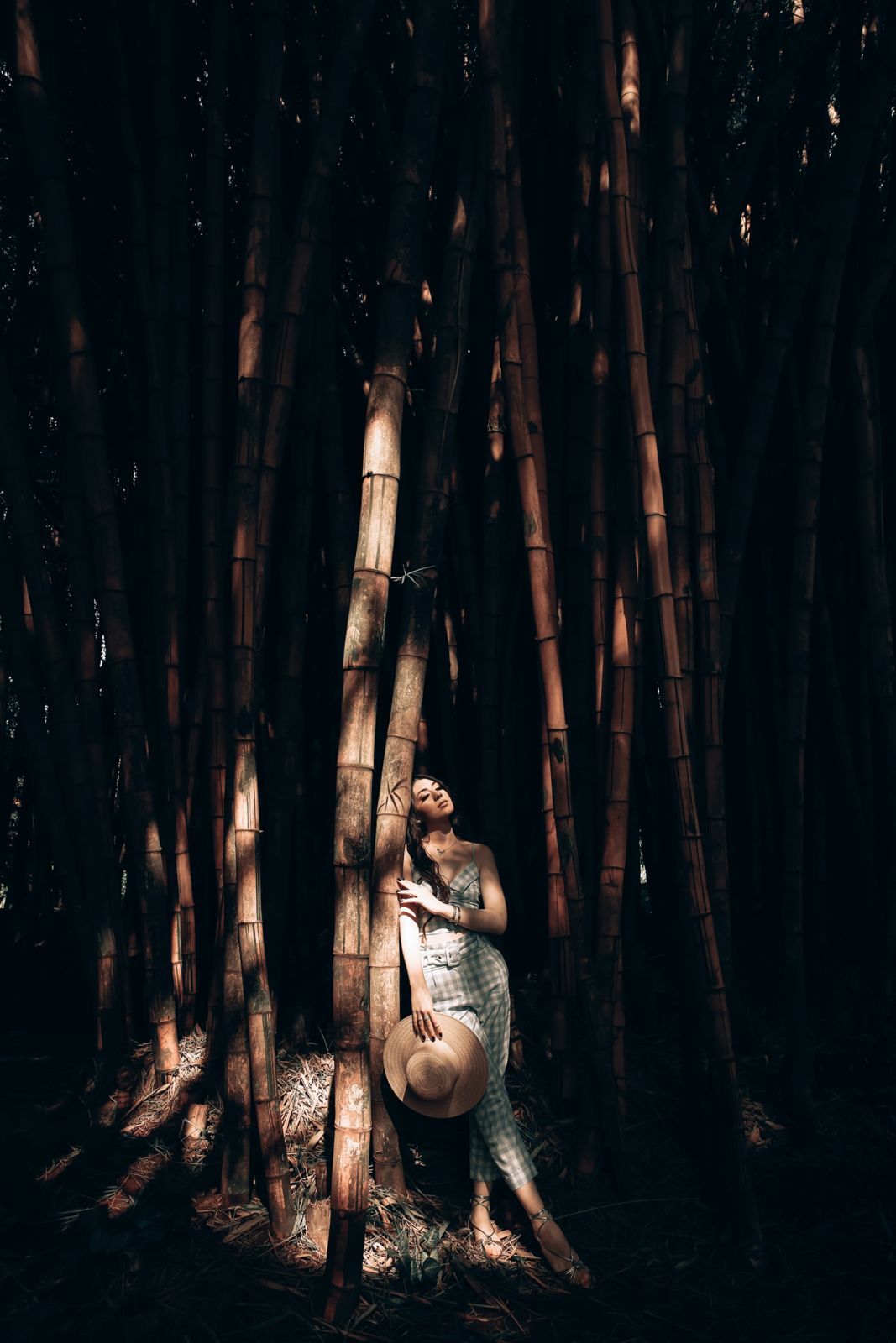 Foto Ensaio de 15 anos Luana - Imagem 133