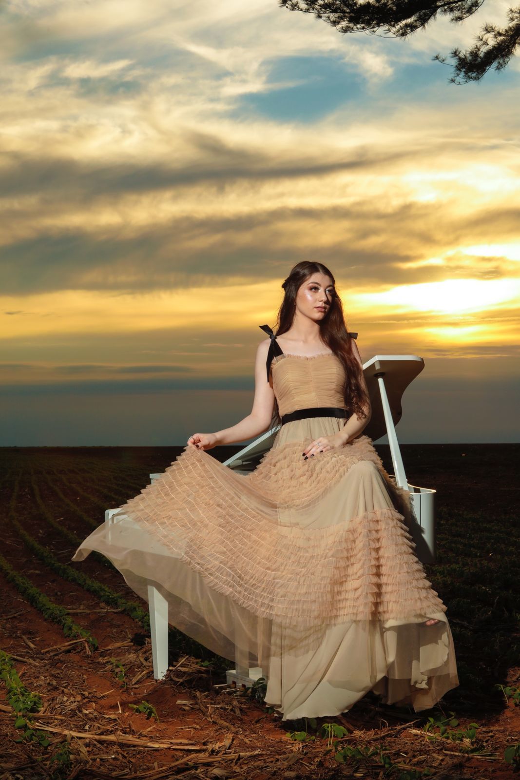 Foto Ensaio de 15 anos Luana - Imagem 125