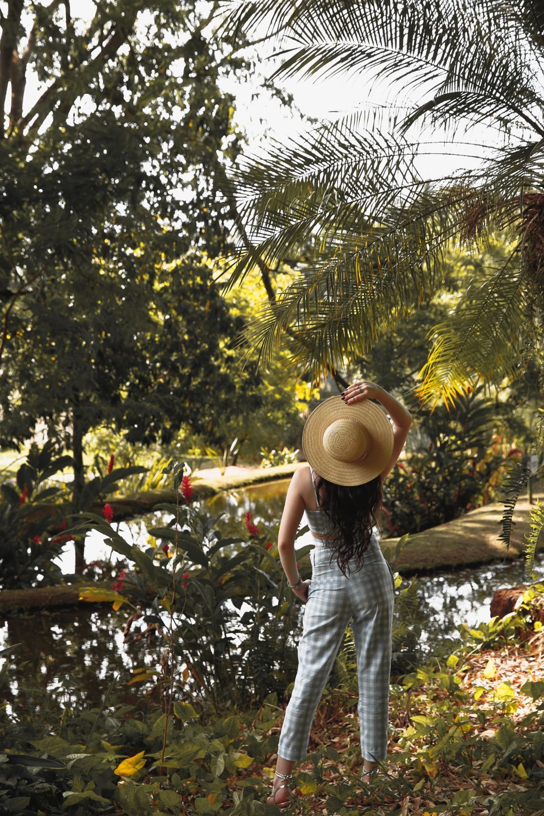 Foto Ensaio de 15 anos Luana - Imagem 153