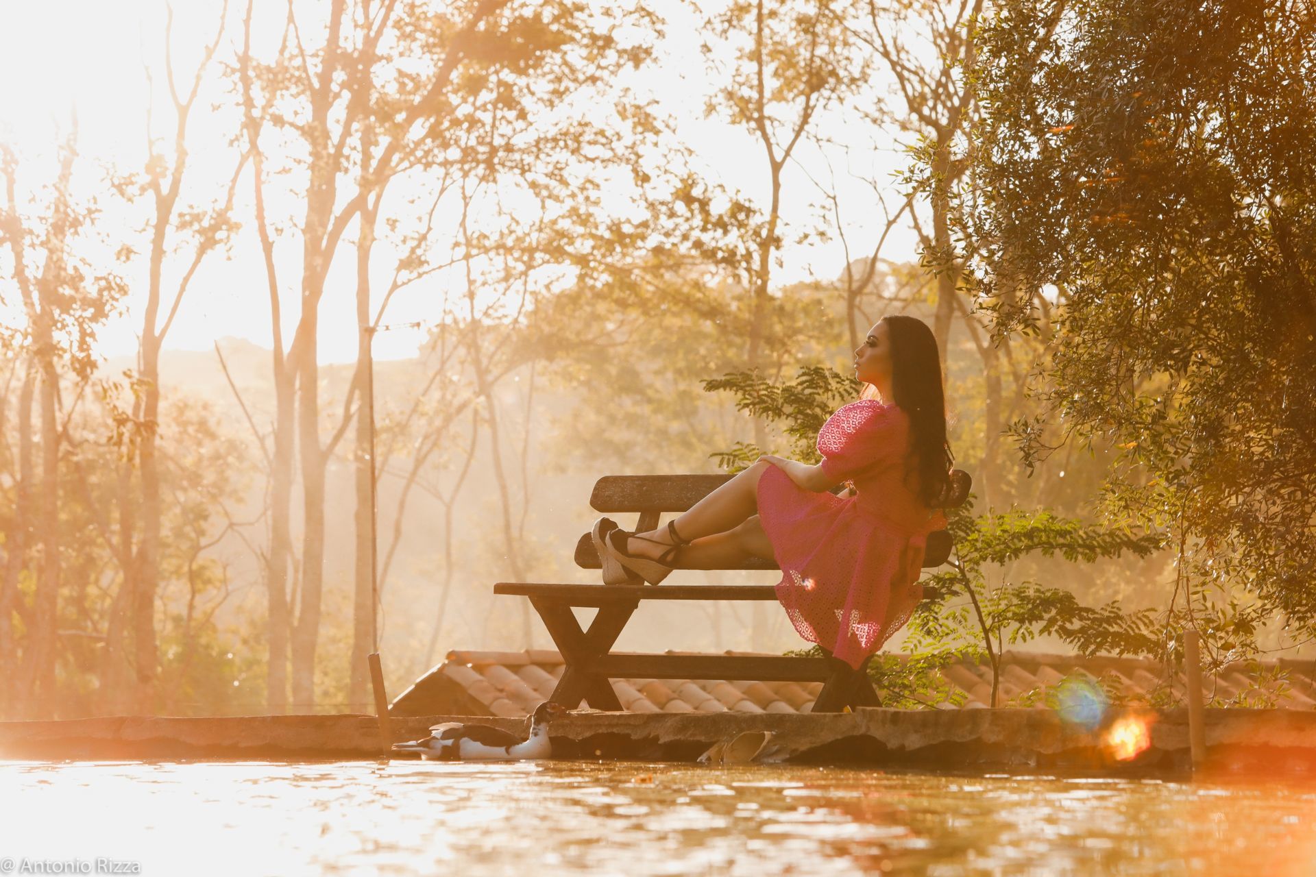 Foto Ensaio de 15 anos Sofia Naves - Imagem 27