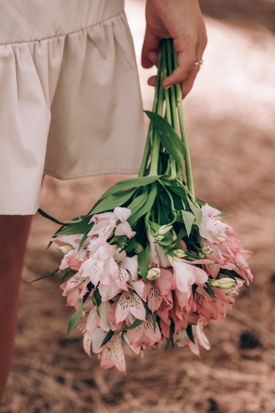 Foto Ensaio fotografico da Isabela Martins - Imagem 19
