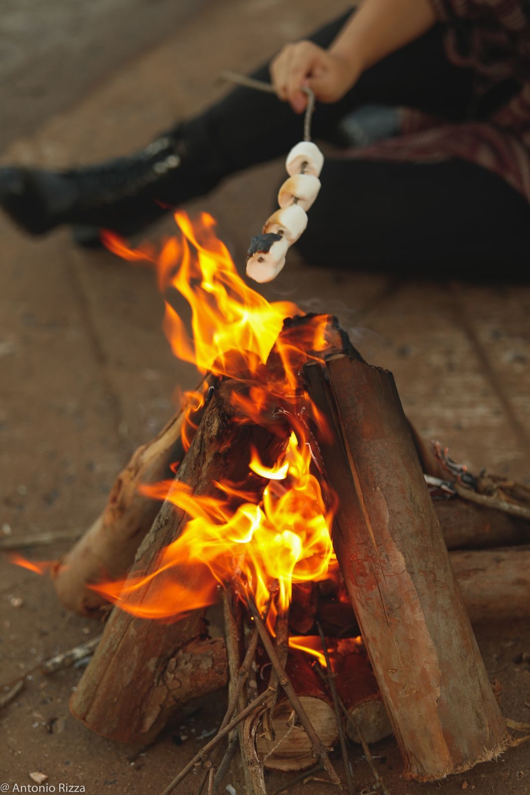 Foto Ensaio de 15 anos Ana Laura Tannus - Imagem 38
