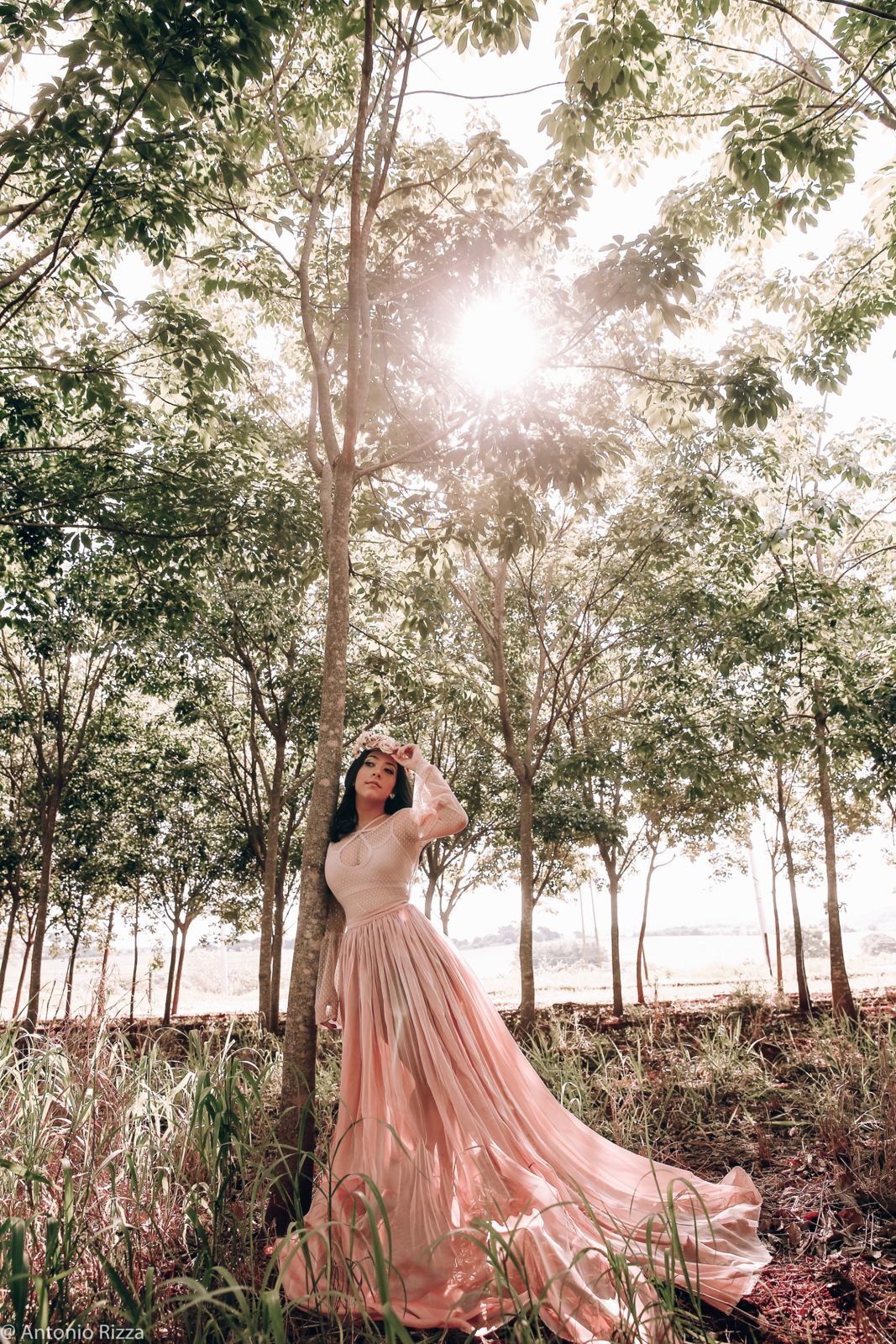 Foto Ensaio de 15 anos Ana Laura Tannus - Imagem 64