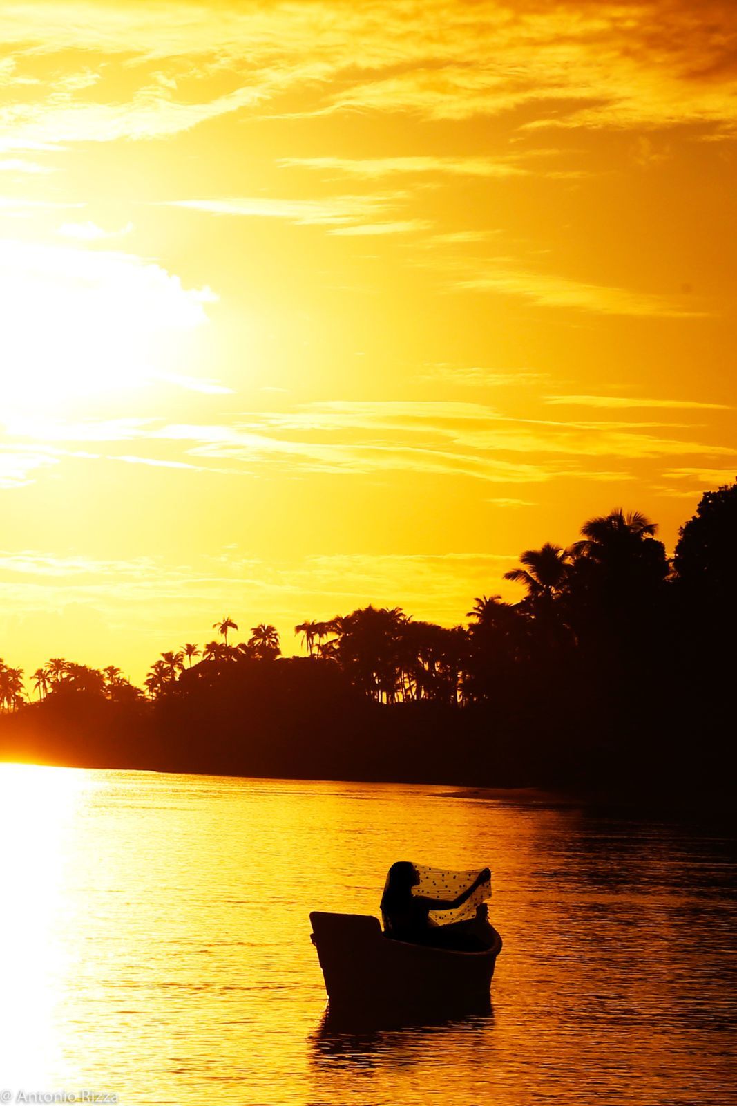 Foto Ensaio de 15 anos Ana Laura Tannus - Imagem 55