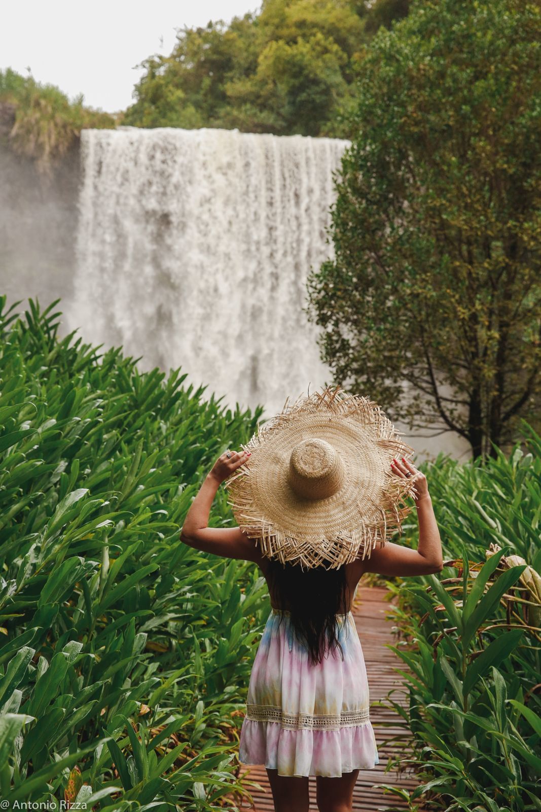 Foto Polyana - Imagem 5