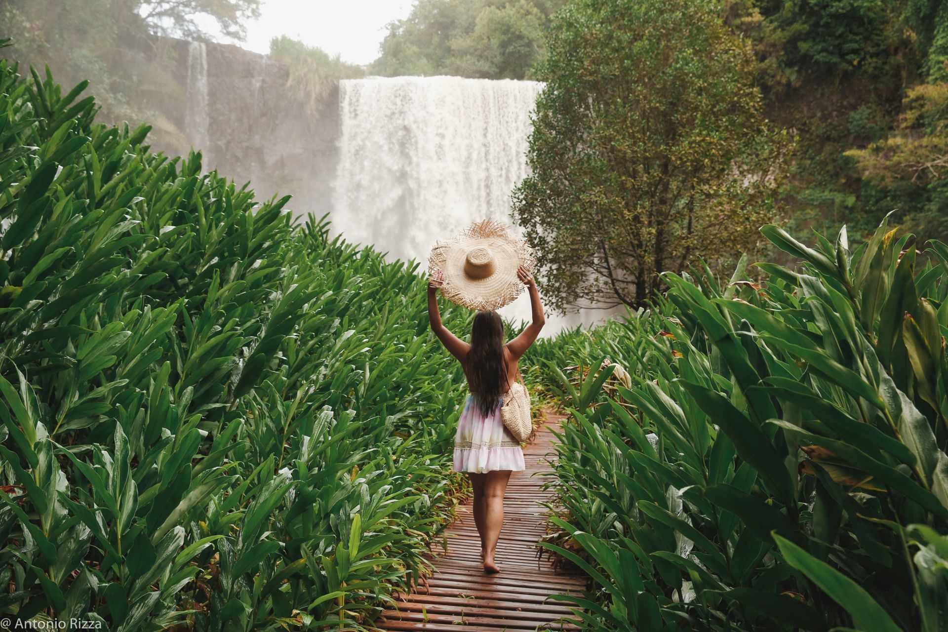 Foto Polyana - Imagem 42