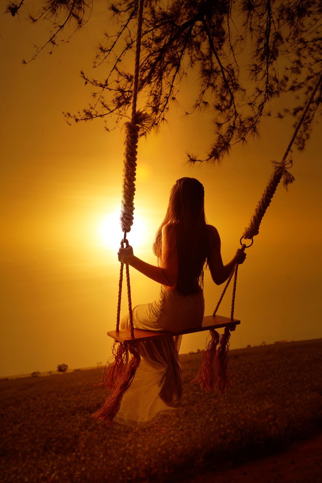 Foto Anna Luiza - Imagem 15