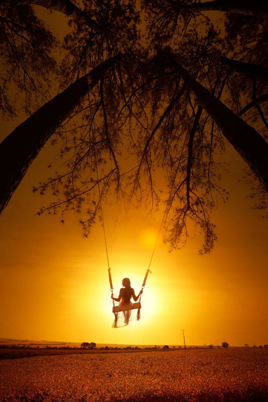 Foto Anna Luiza - Imagem 78