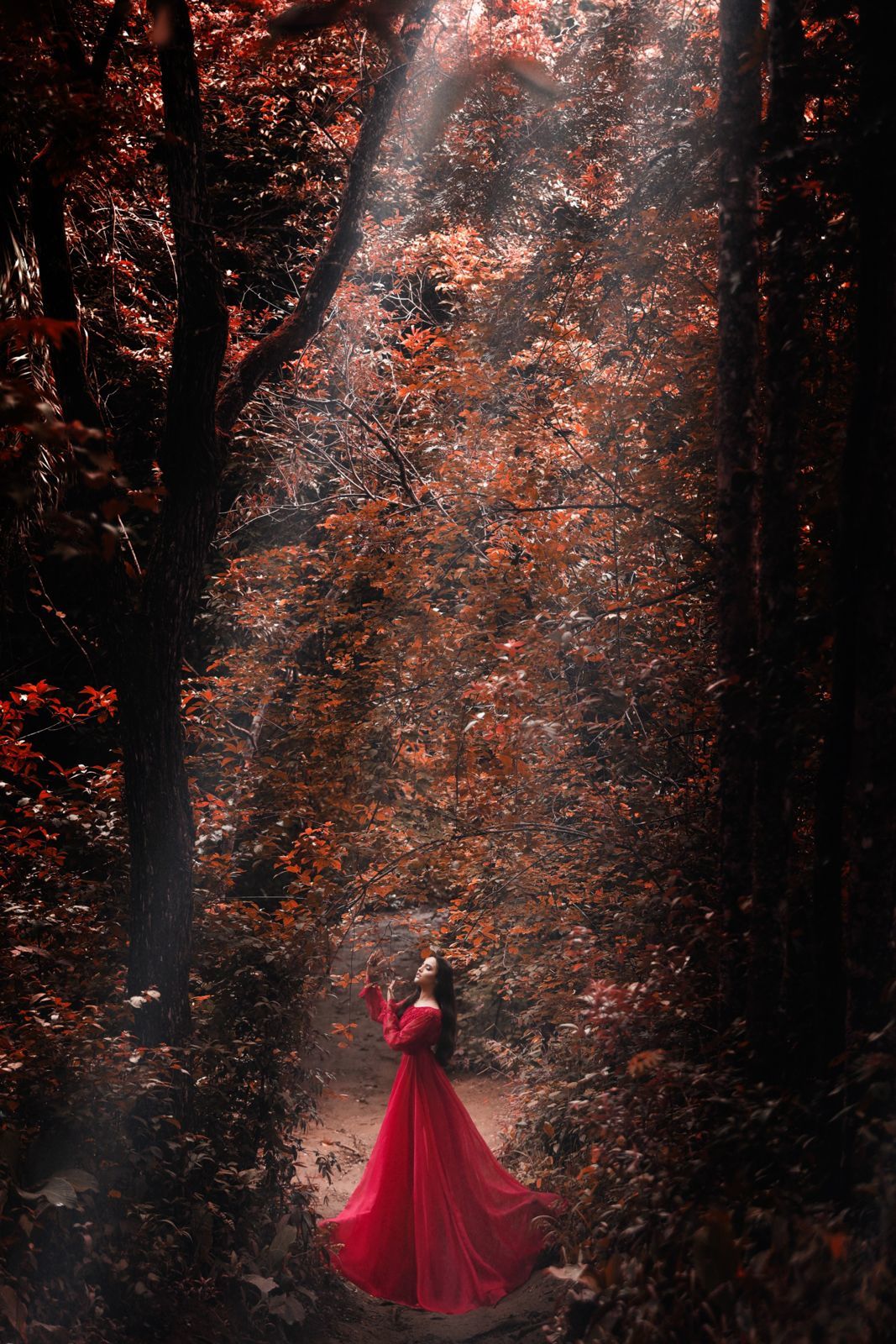 Foto Ensaio de 15 anos da Laura Rocha - Imagem 0
