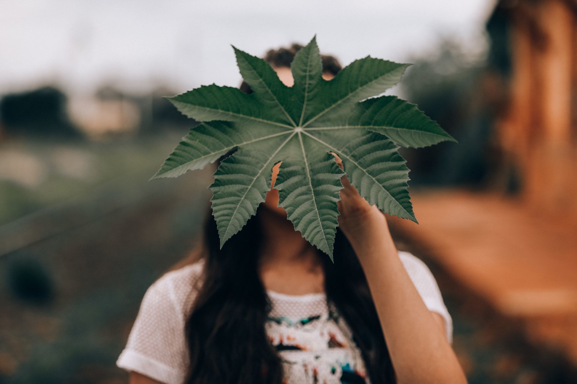 Foto Ensaio de 15 anos da Laura Rocha - Imagem 28
