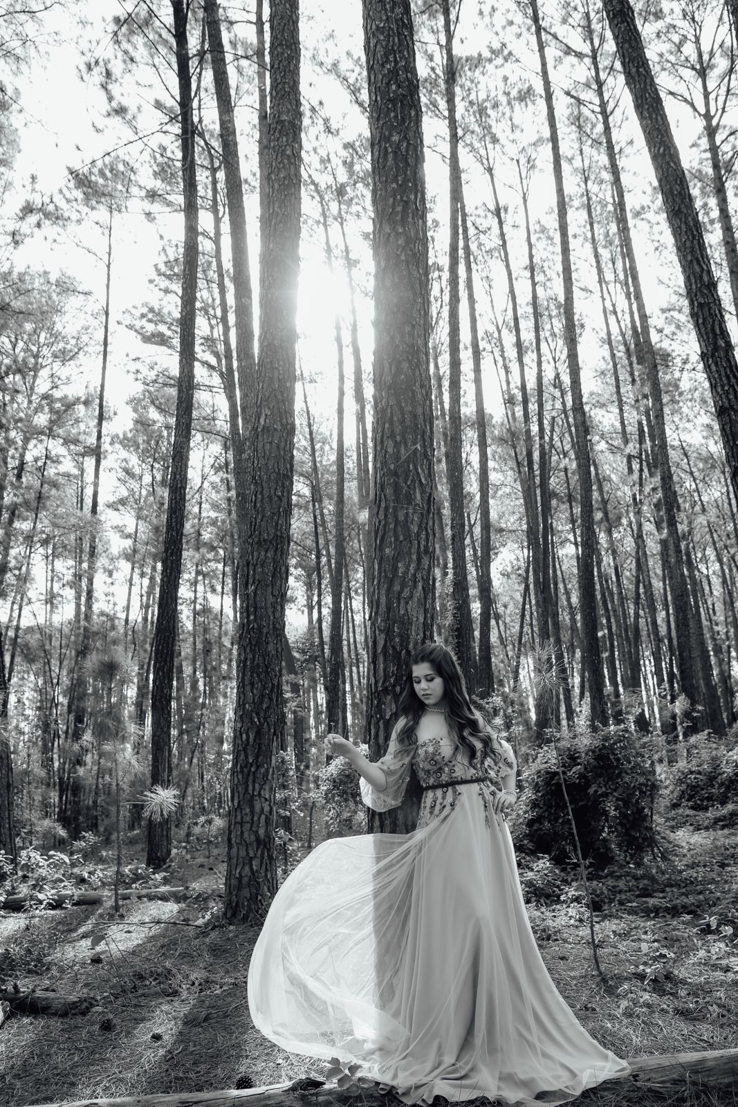 Foto Ensaio Ana Sophia - Imagem 19