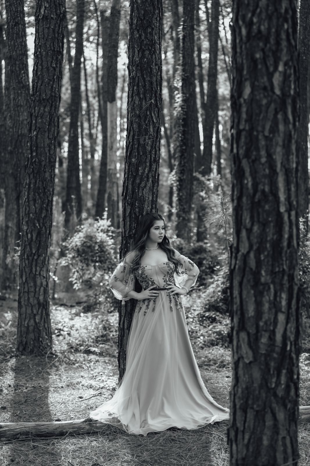 Foto Ensaio Ana Sophia - Imagem 15