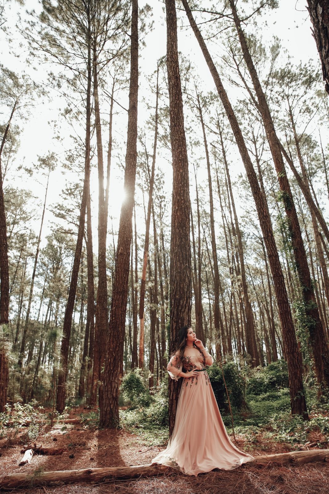 Foto Ensaio Ana Sophia - Imagem 16