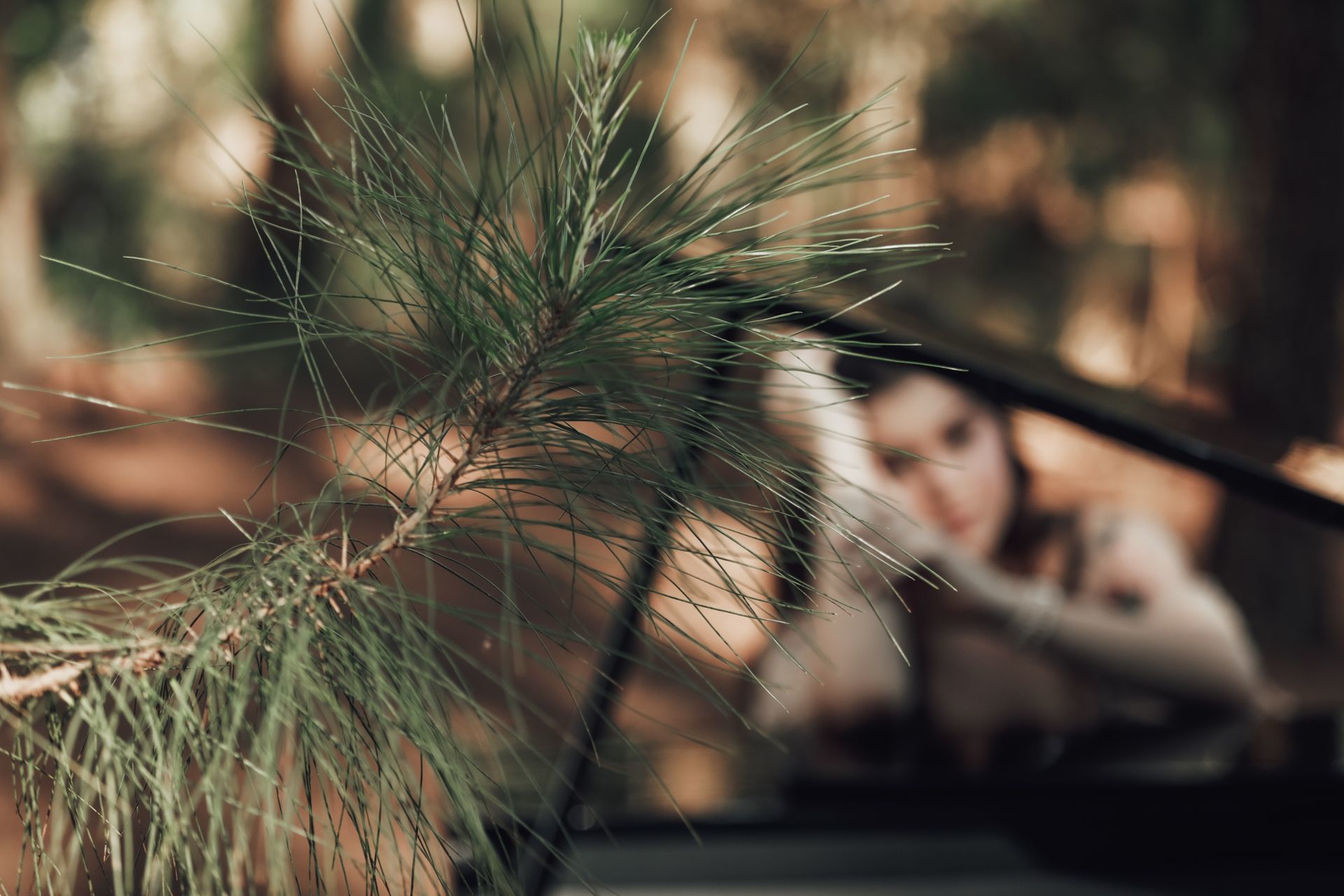 Foto Ensaio Ana Sophia - Imagem 22