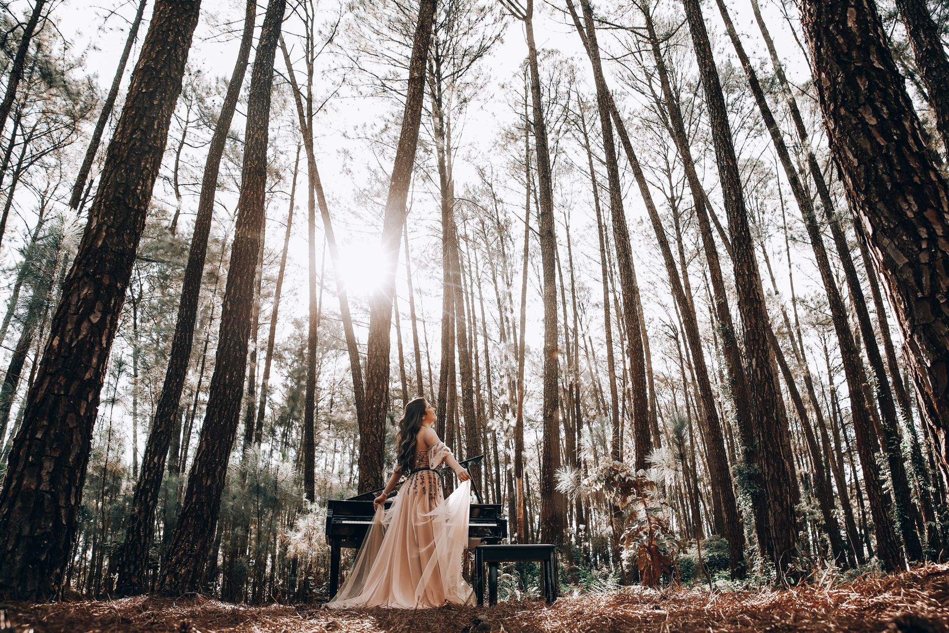 Foto Ensaio Ana Sophia - Imagem 25