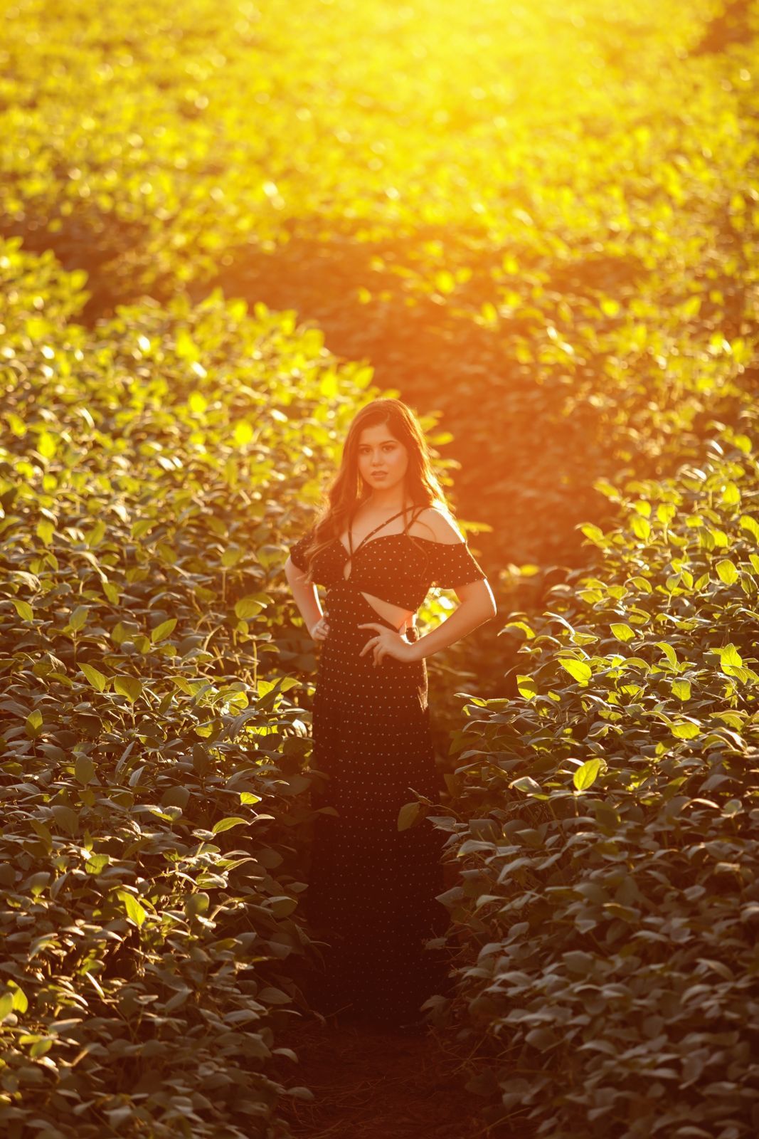 Foto Ensaio Ana Sophia - Imagem 65