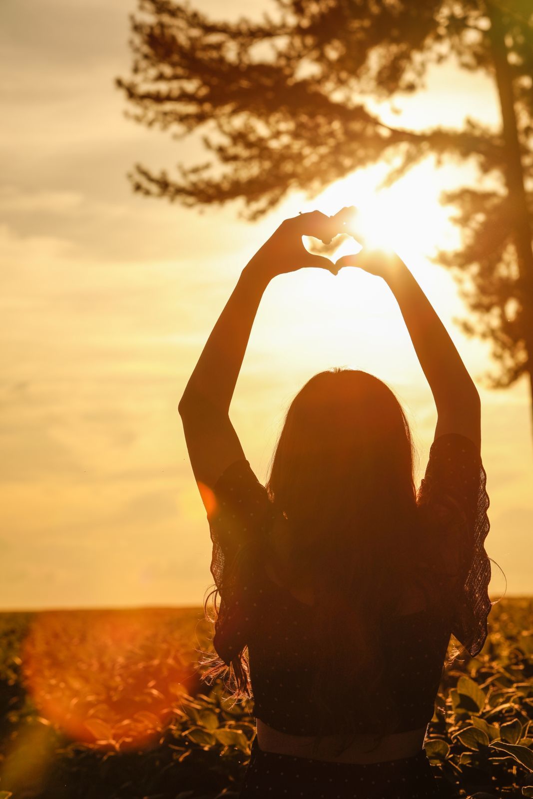 Foto Ensaio Ana Sophia - Imagem 84