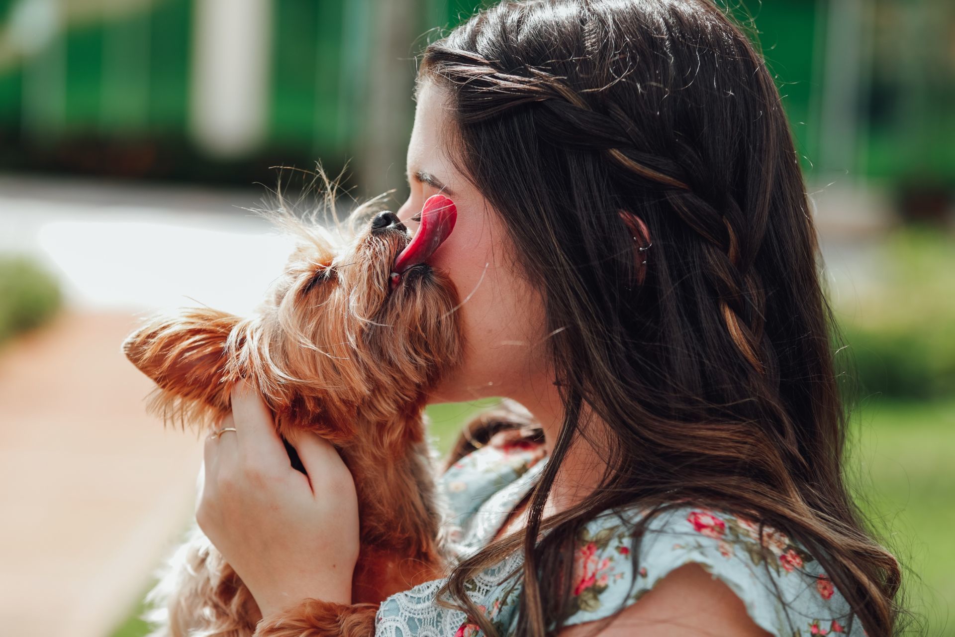 Foto Ensaio Ana Sophia - Imagem 96