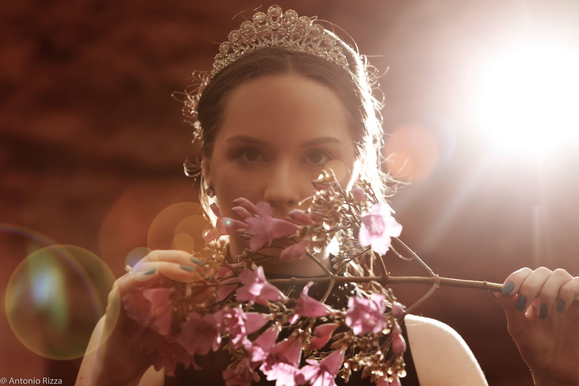 Foto Ensaio de 15 anos Aninha - Quirinópolis GO - Imagem 14