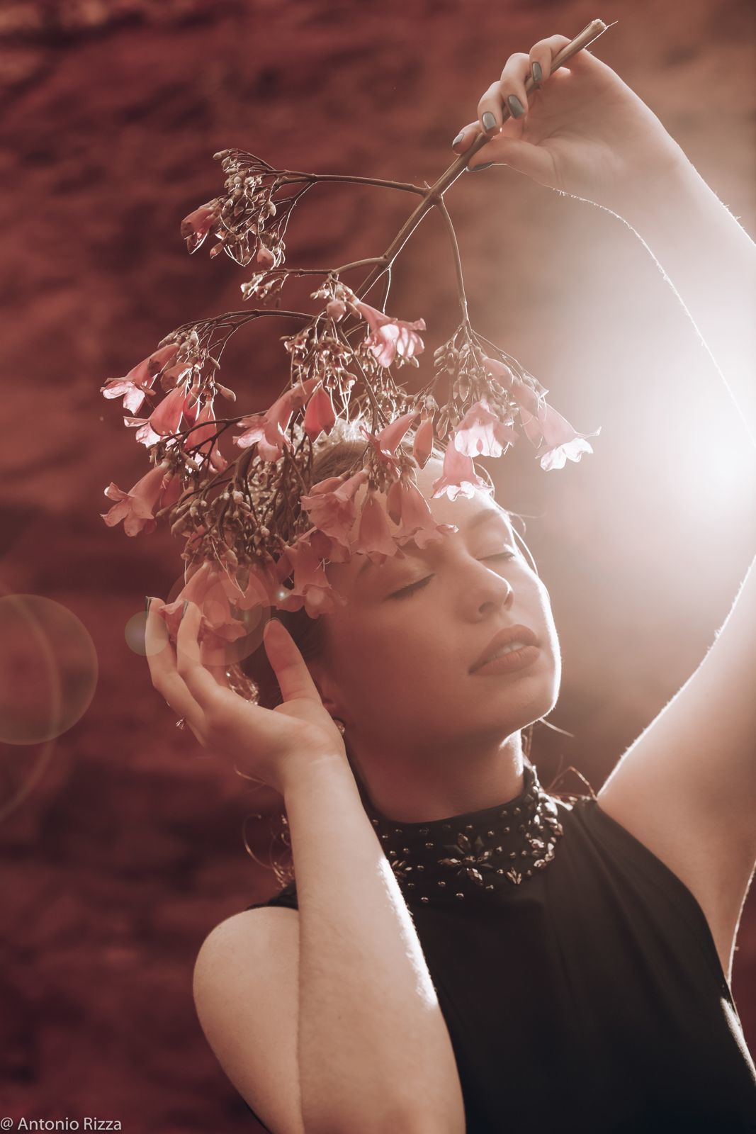 Foto Ensaio de 15 anos Aninha - Quirinópolis GO - Imagem 79