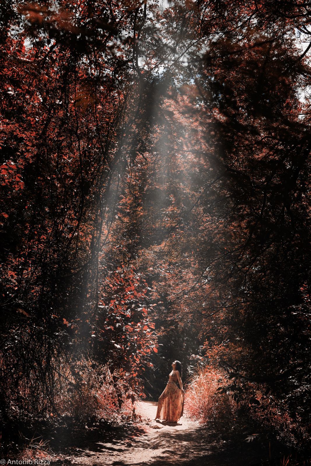 Foto Ensaio Mariana - Imagem 2