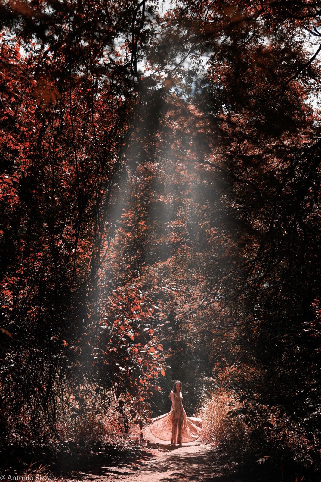 Foto Ensaio Mariana - Imagem 28