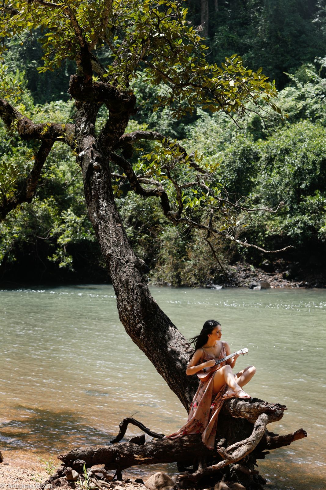 Foto Ensaio Mariana - Imagem 92