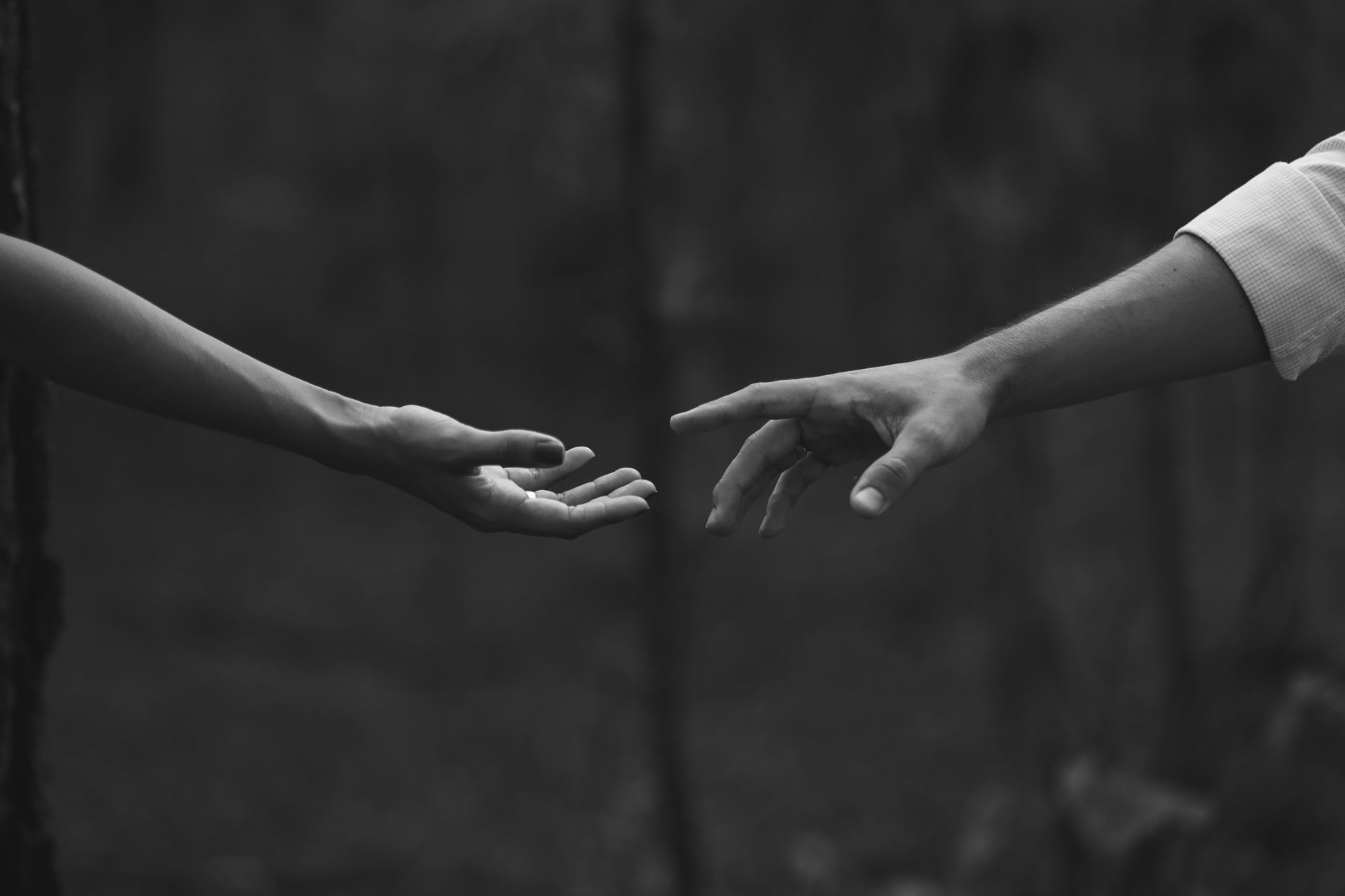 Foto Fernanda e Bruno - Imagem 33