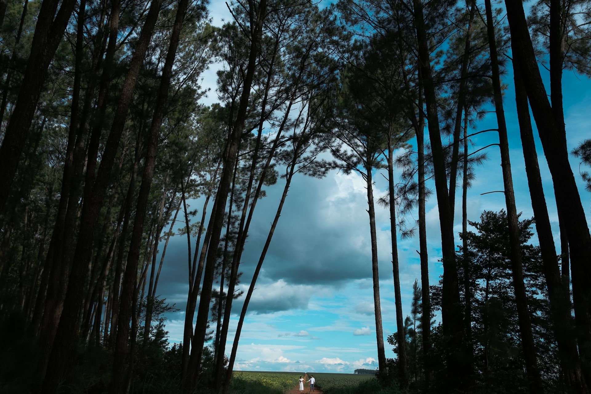 Foto Fernanda e Bruno - Imagem 17