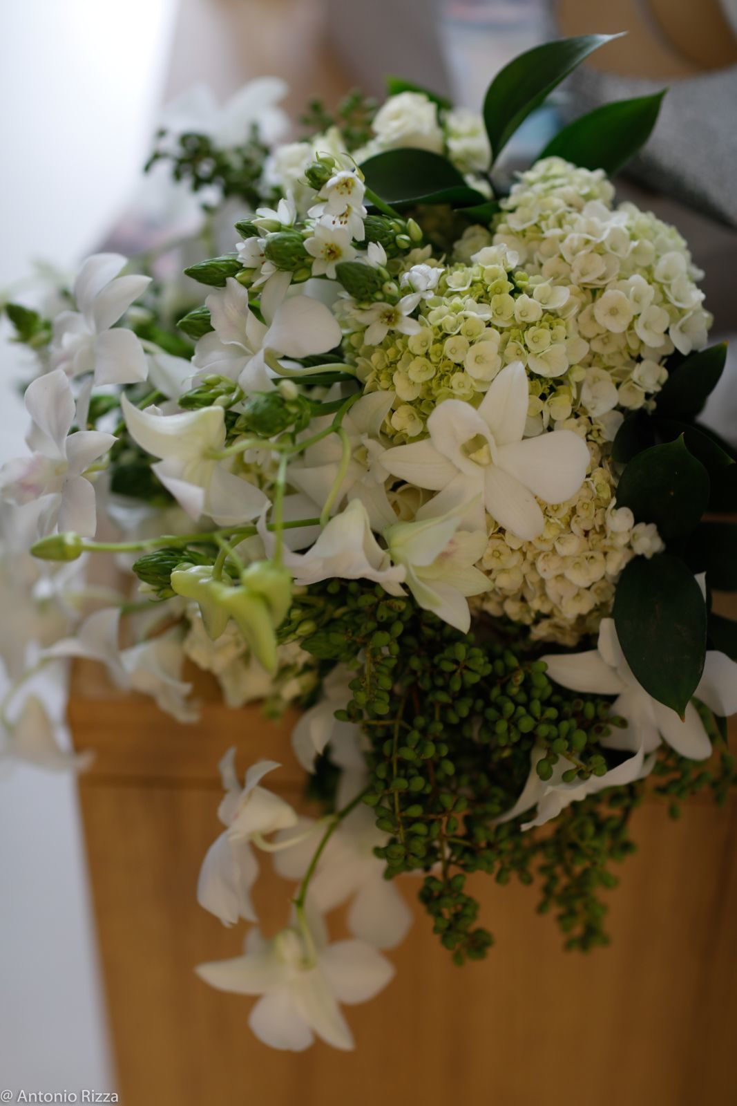 Foto Thaina e Luan - Imagem 9