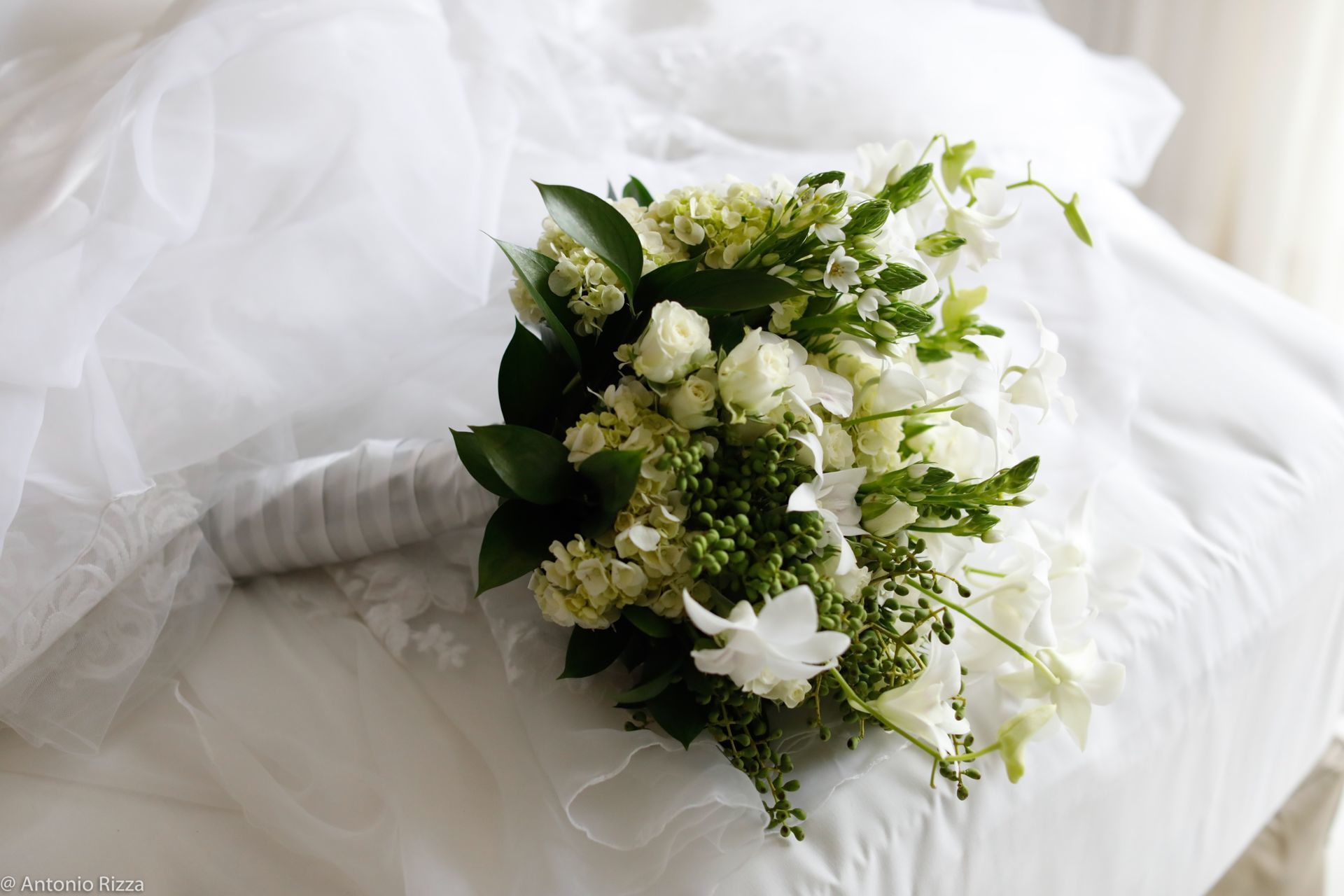 Foto Thaina e Luan - Imagem 38