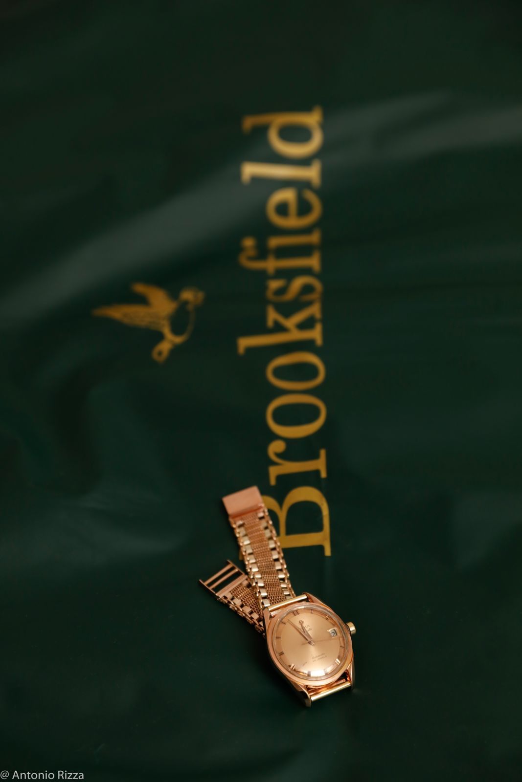 Foto Thaina e Luan - Imagem 42