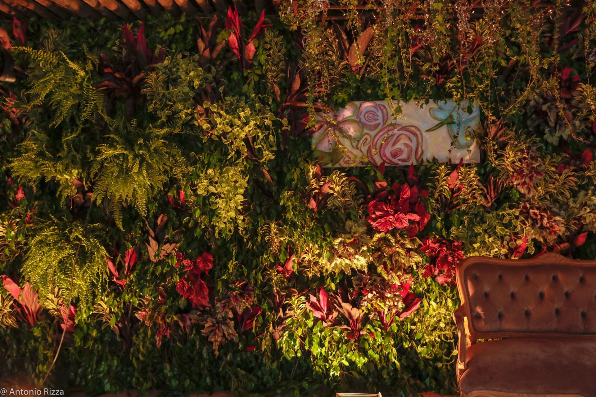 Foto Thaina e Luan - Imagem 58