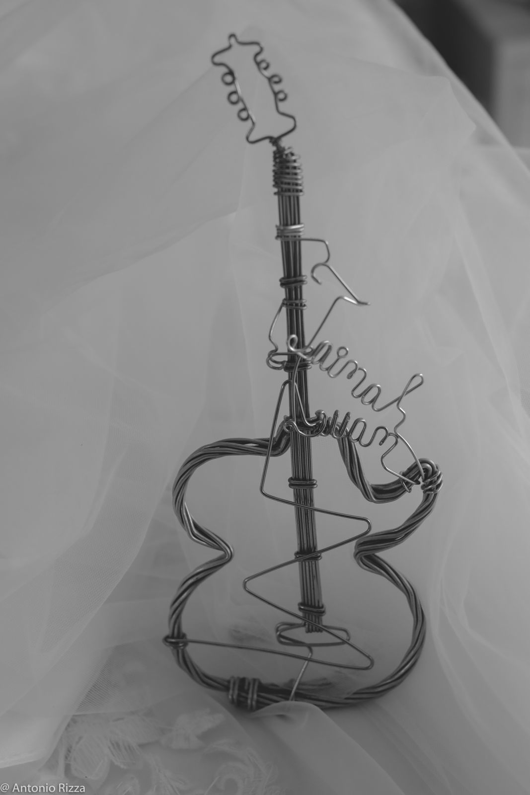 Foto Thaina e Luan - Imagem 44