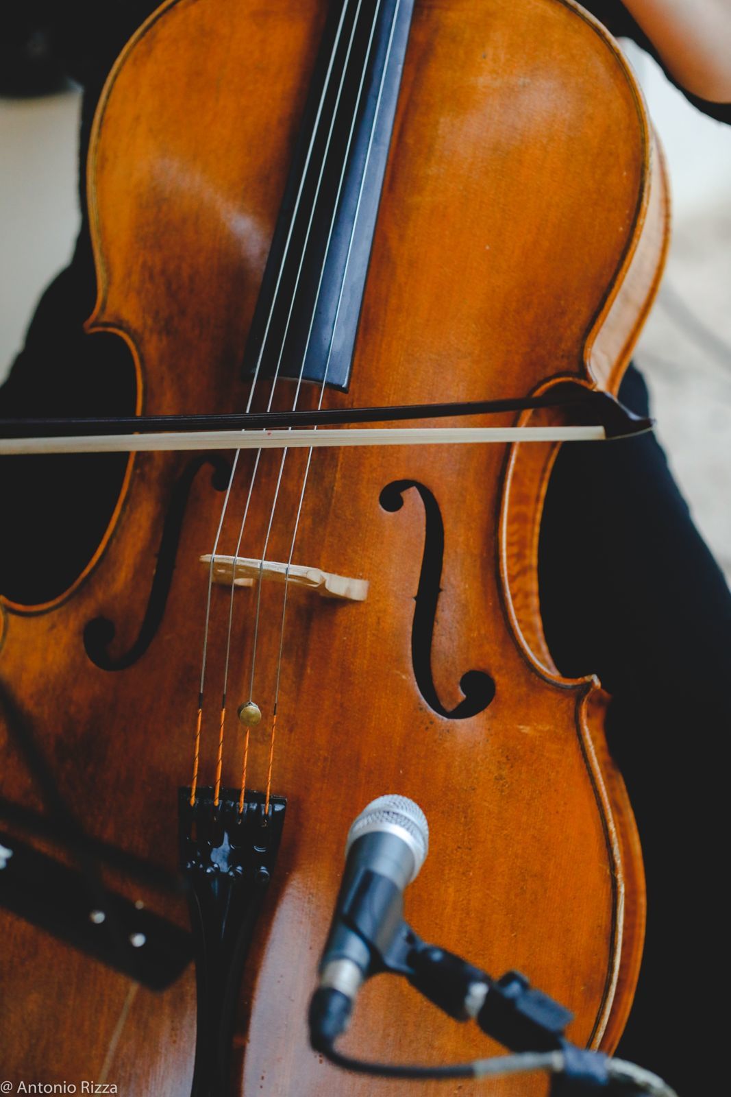 Foto Thaina e Luan - Imagem 74