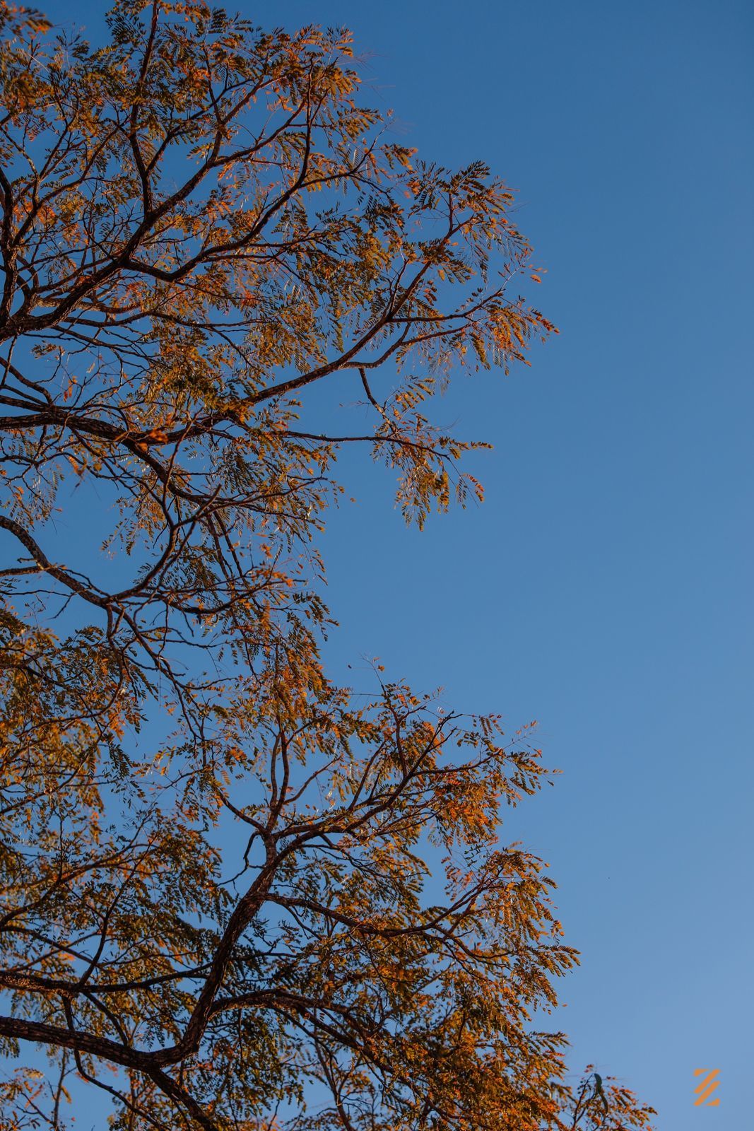 Foto Ensaio Julia Teixeira - Imagem 43