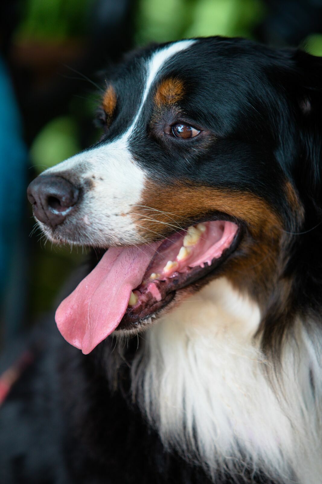 Foto Marina - Imagem 19