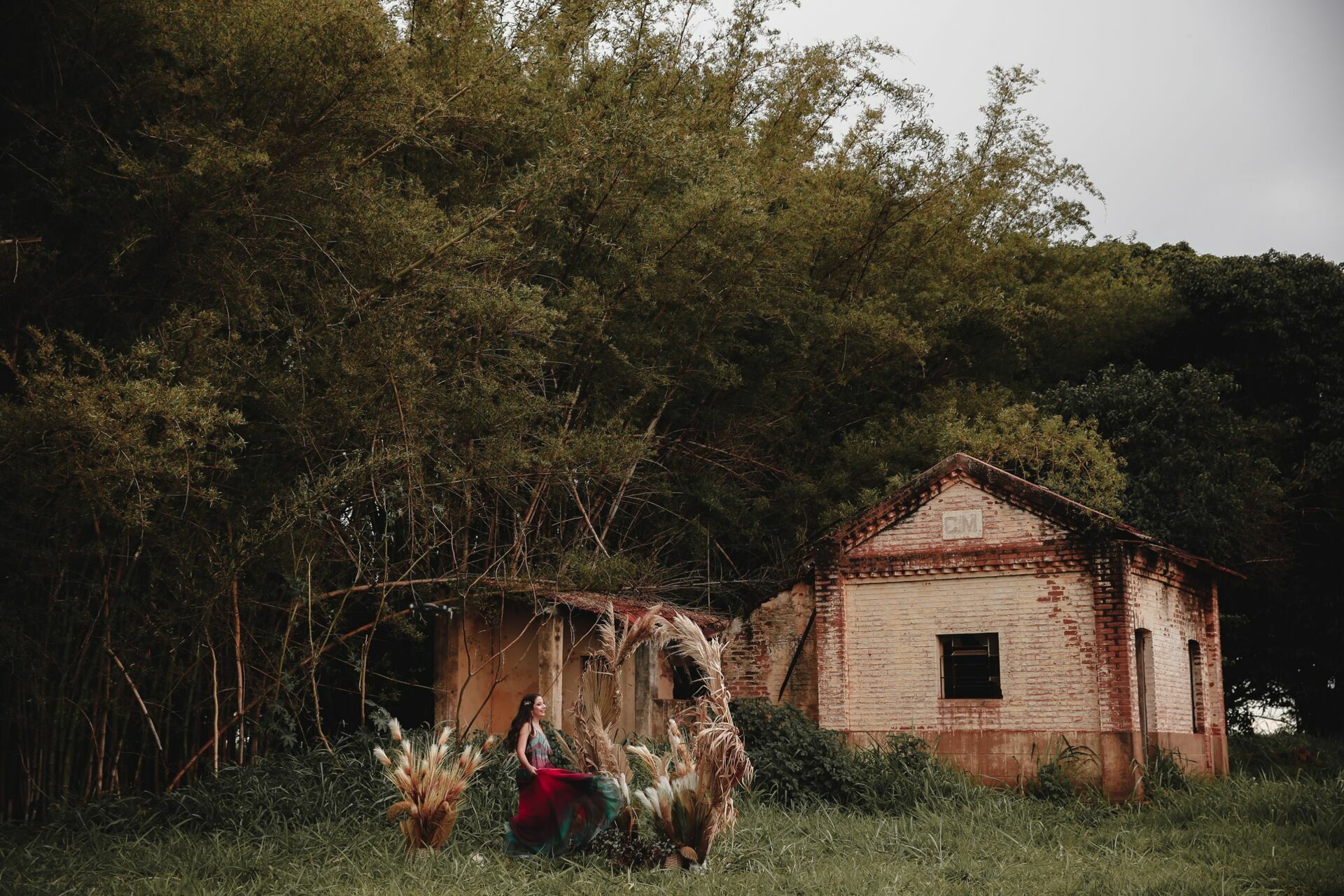 Foto Laura Mani - Imagem 101