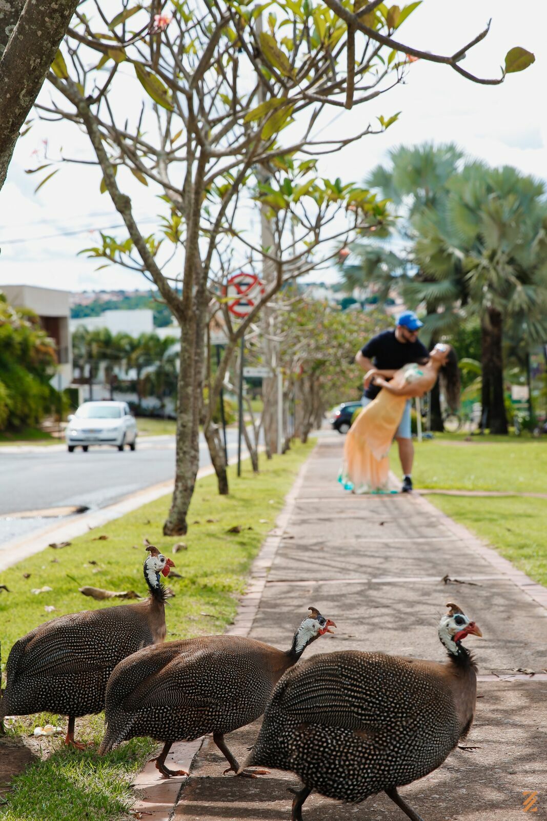 Foto Pre wedding Mayara & Gabriel - Imagem 20