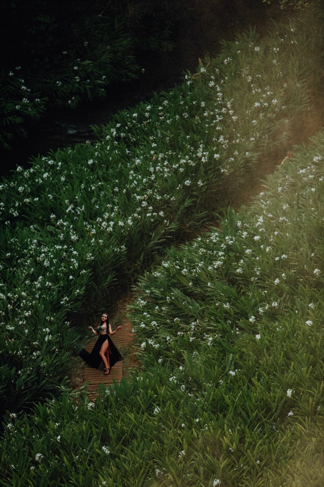 Foto Vitória Francis - Imagem 4