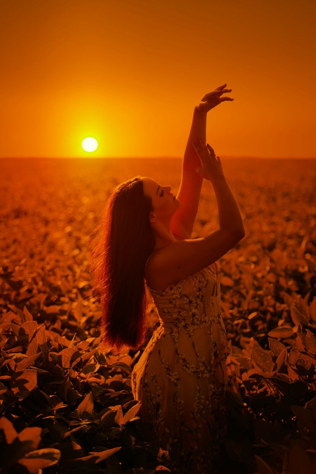 Foto Vitória Francis - Imagem 47