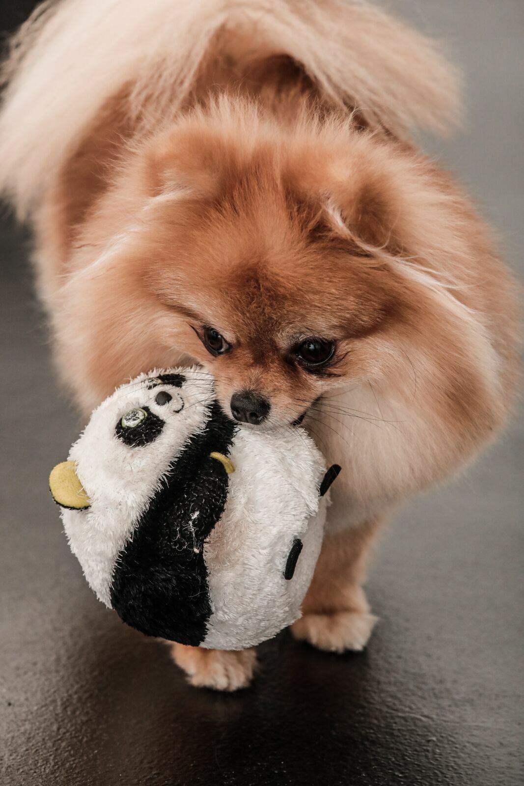 Foto Vitória Francis - Imagem 86