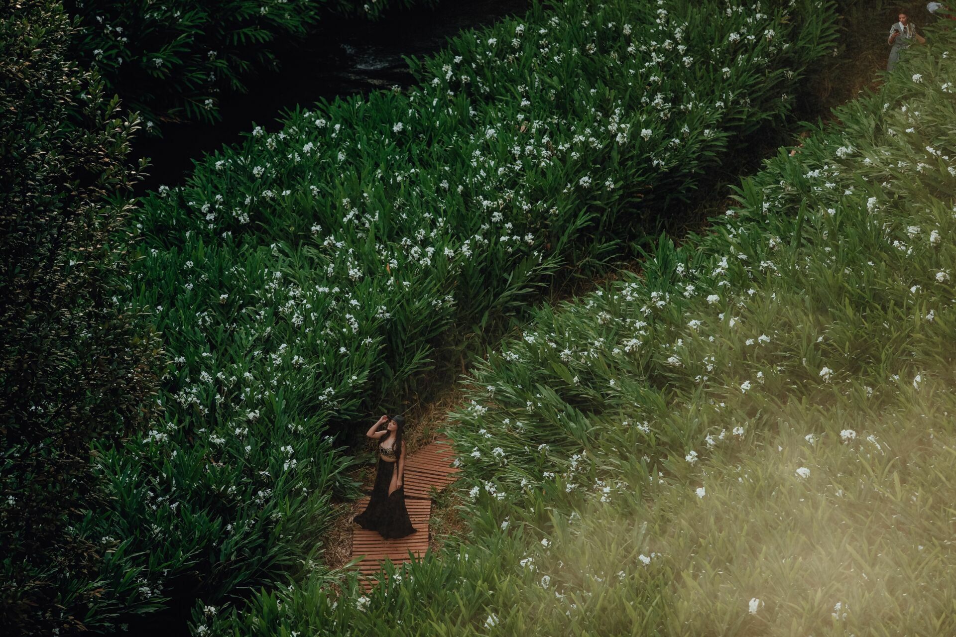 Foto Vitória Francis - Imagem 93